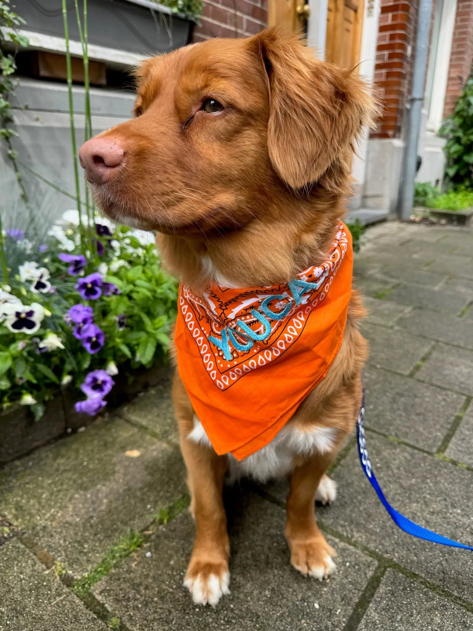 Orange Bandana met naam Charliejoness