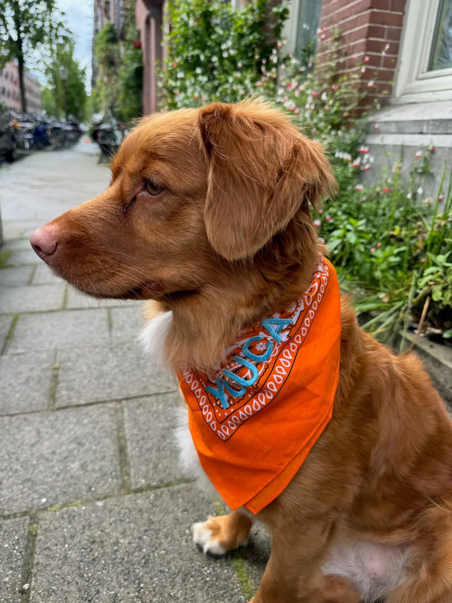 Orange Bandana met naam Charliejoness