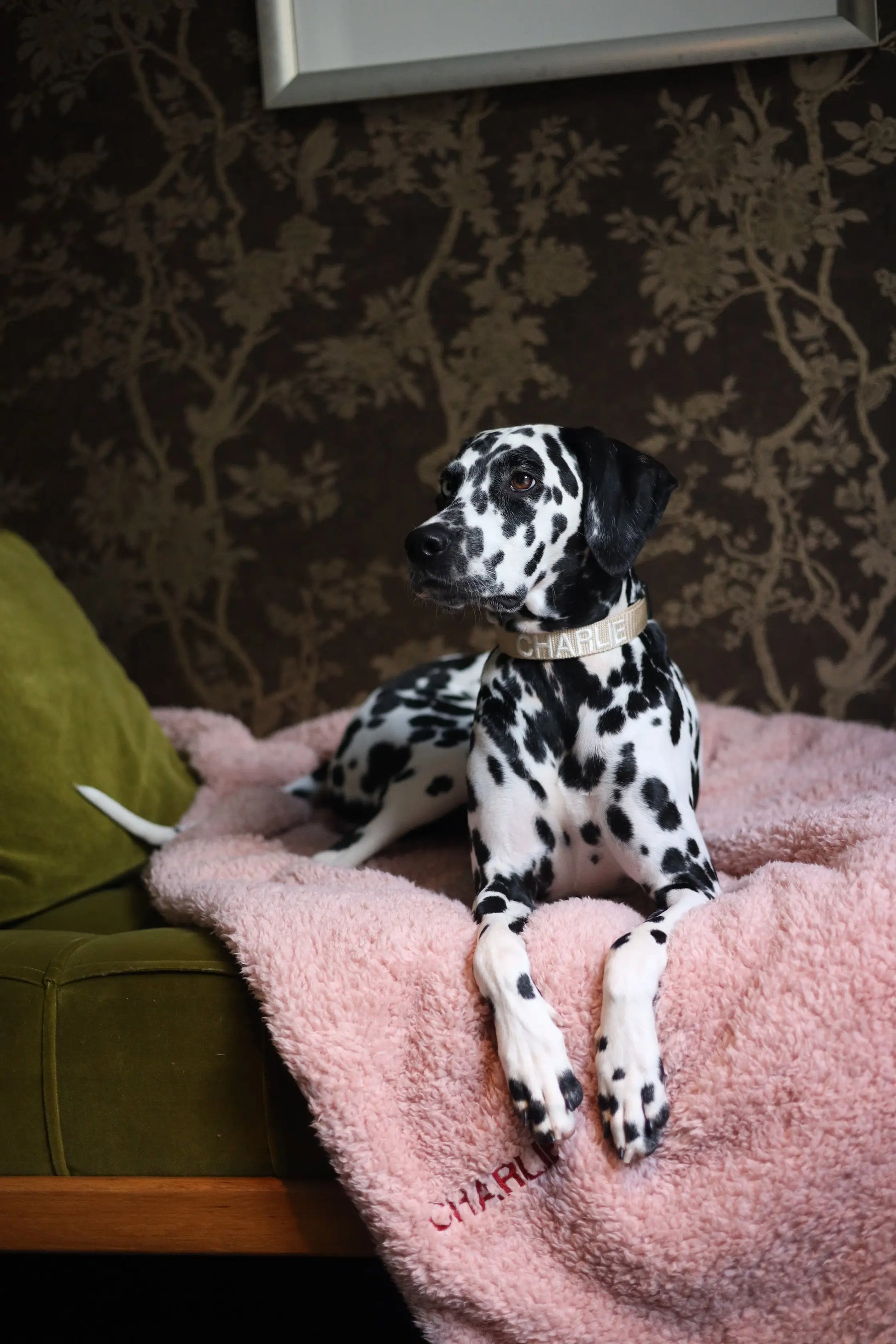 The Teddy Blanket Soft Pink Charliejones