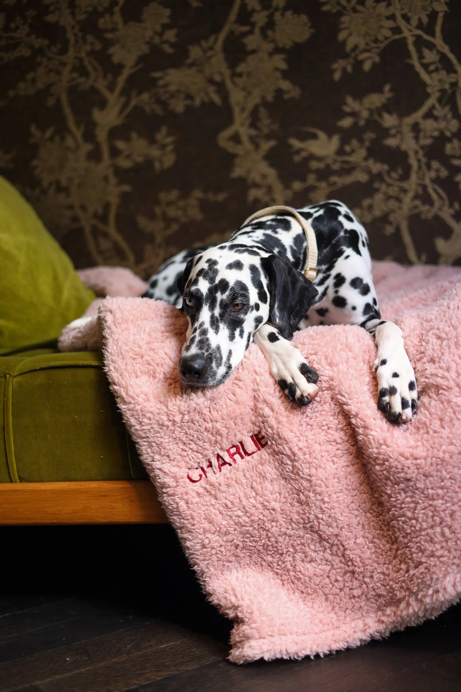 The Teddy Blanket Soft Pink Charliejones