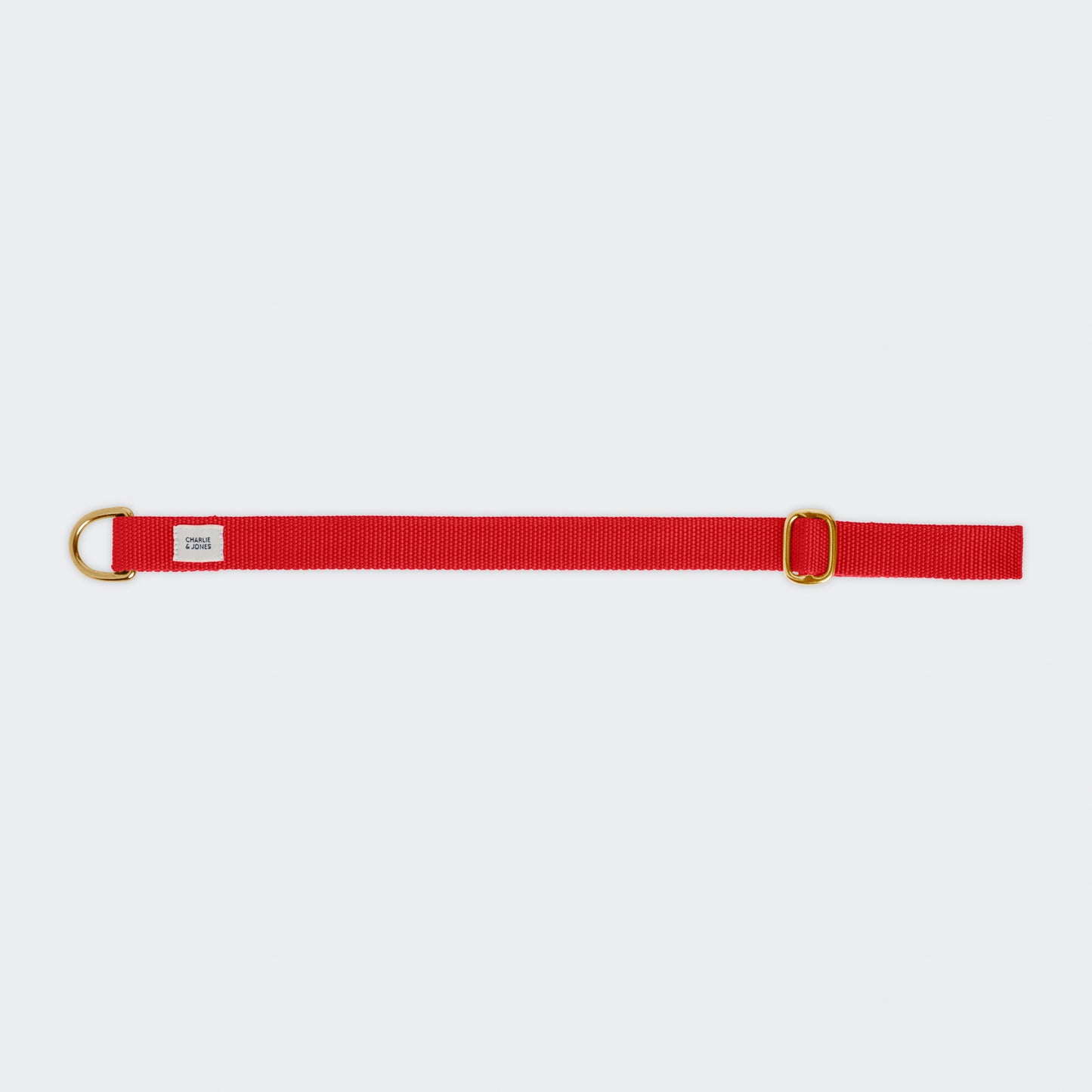Halsband met naam Ruby Red Gold
