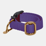 Collar para cachorro con nombre Royal Blue