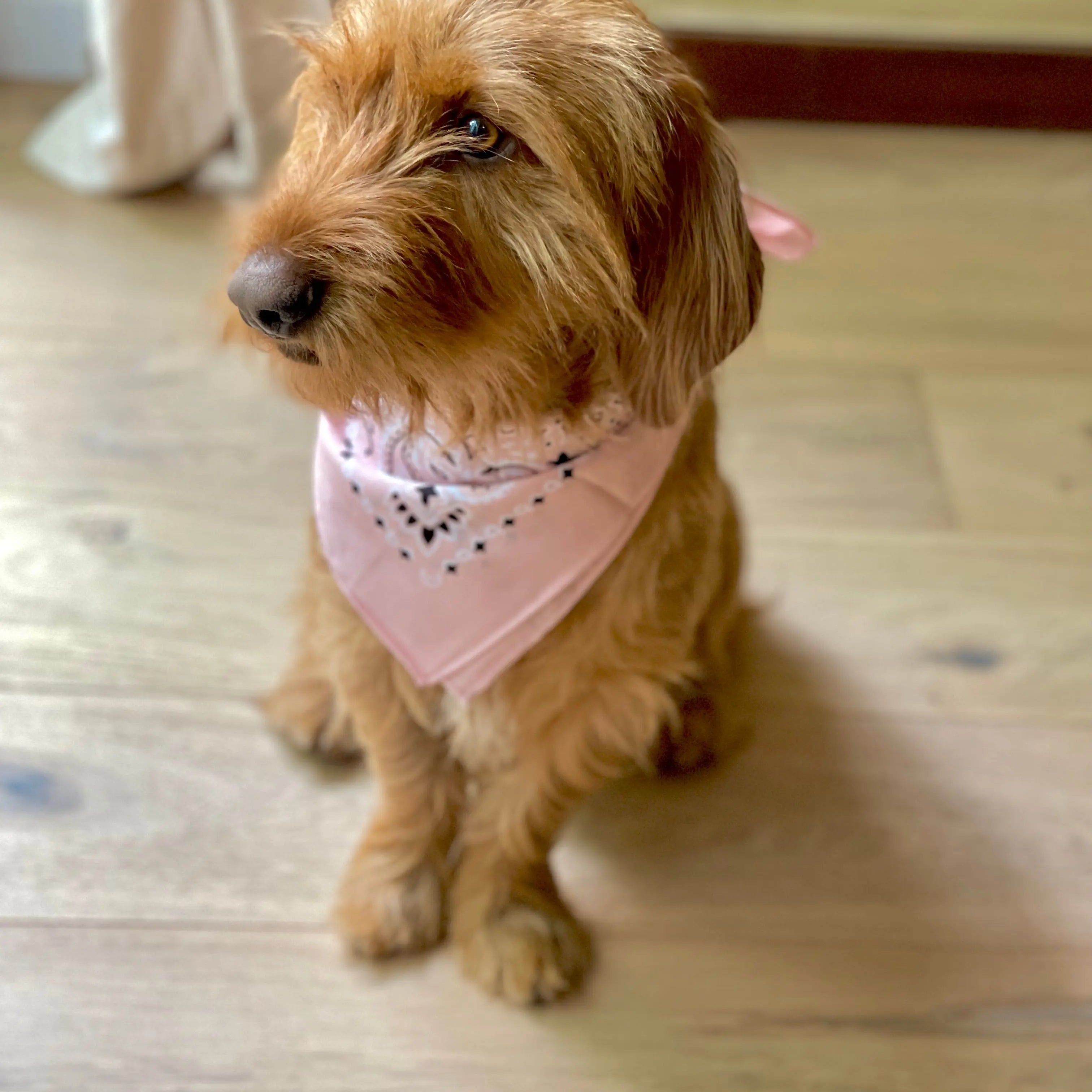 Blush Bandana met naam Charliejoness