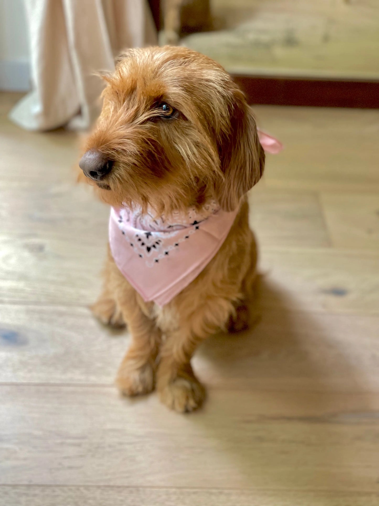 Blush Bandana met naam Charliejoness