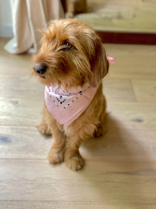 Blush Bandana with name