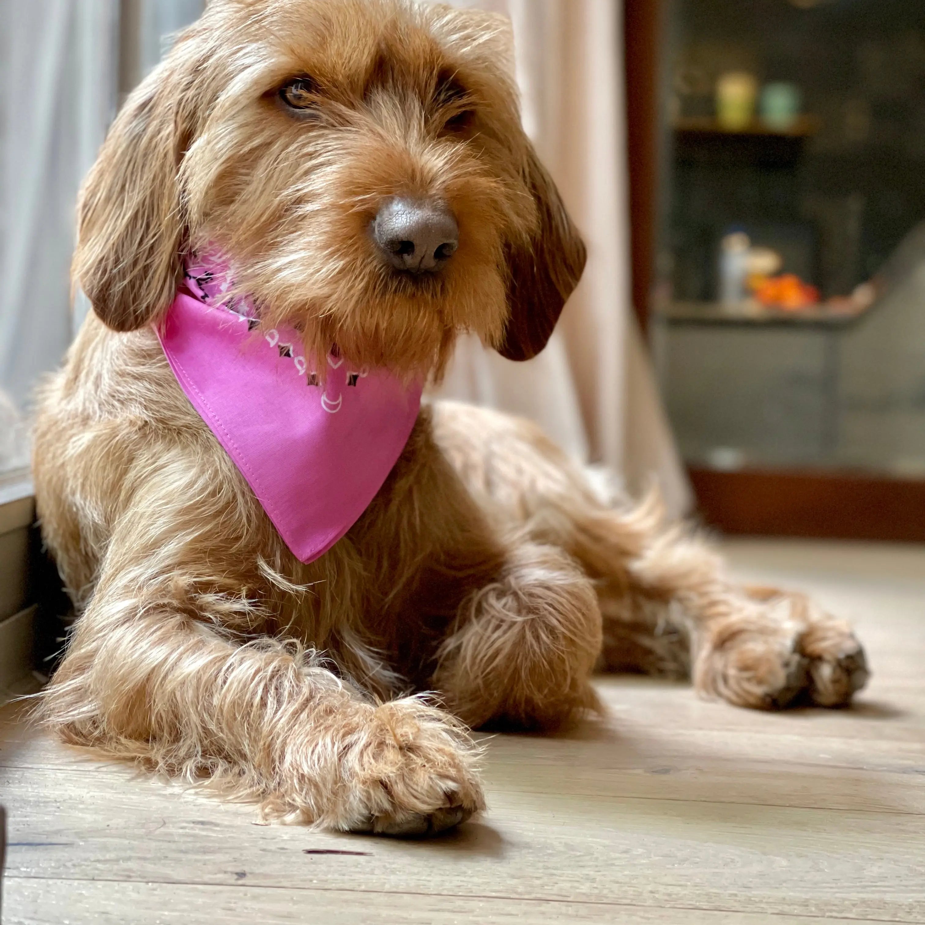 Bubble Gum Bandana met naam Charliejoness