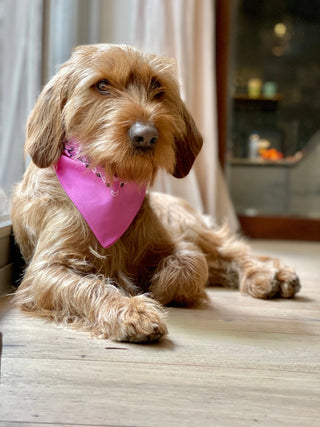 Bubble Gum Bandana with name