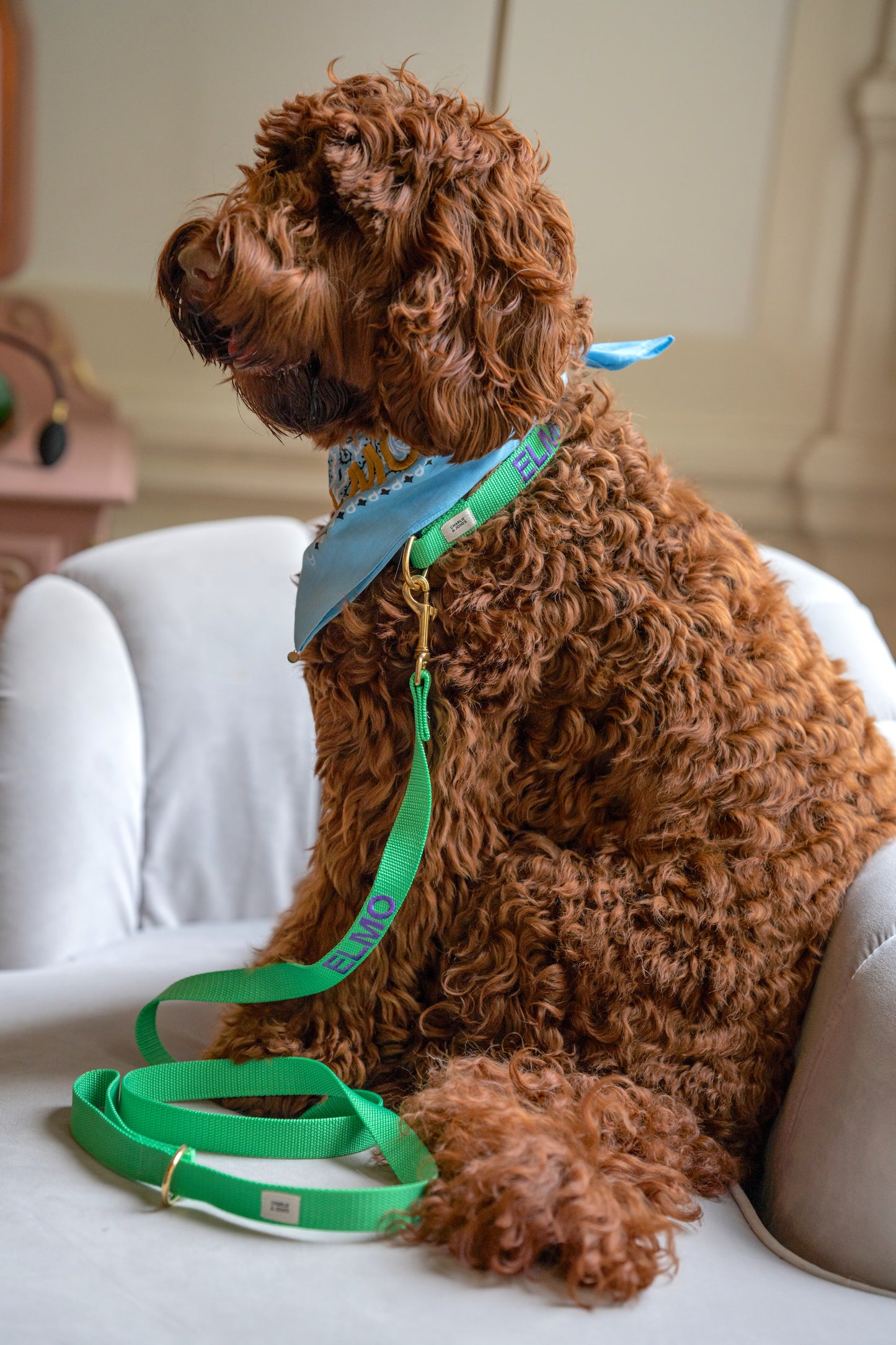 Puppy halsband met naam Spring Green