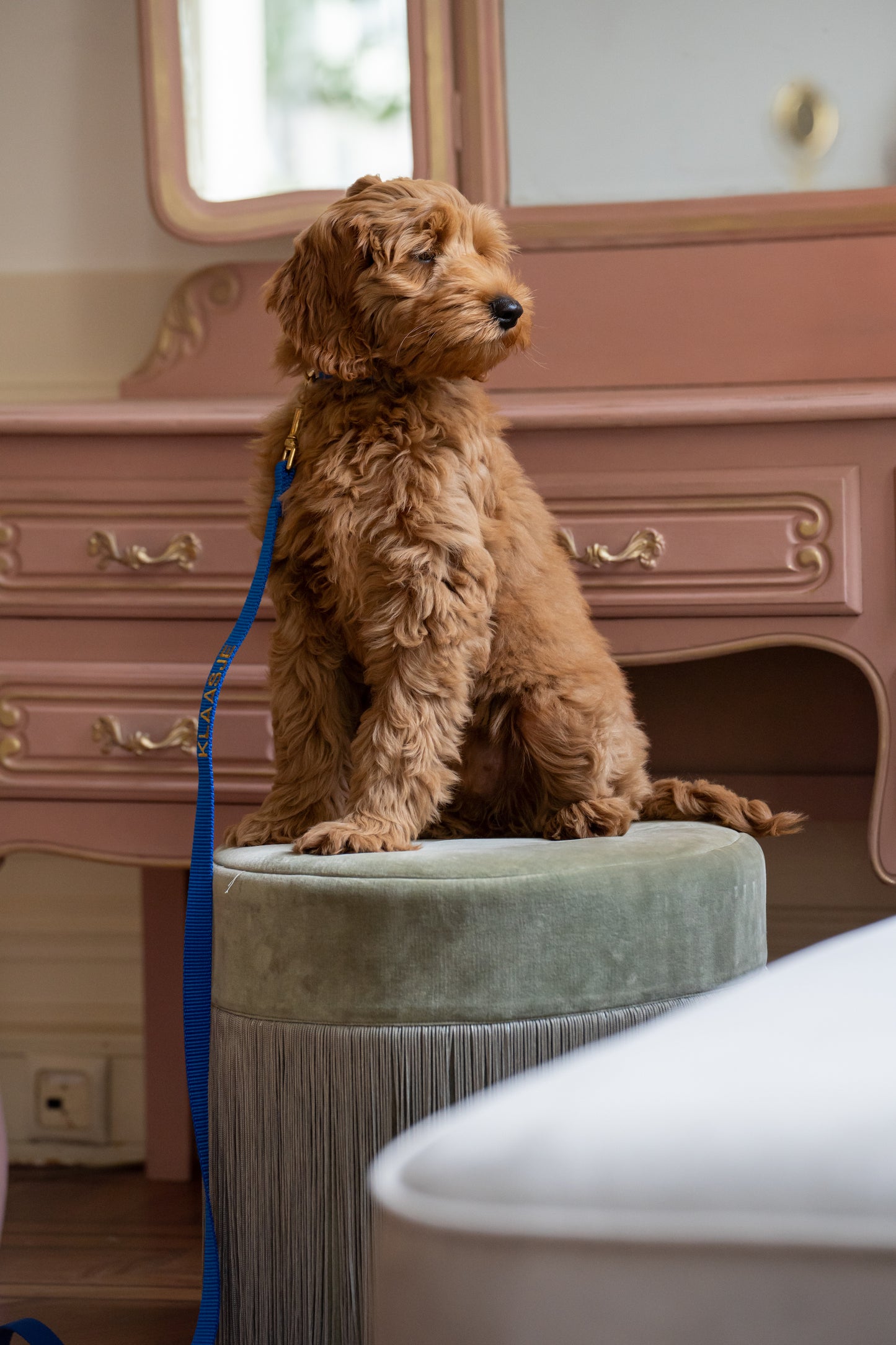 Puppy halsband met naam Royal Blue