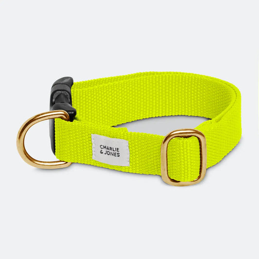 Halsband met naam Citrus Charliejoness