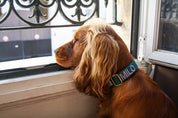 Halsband met naam Hunting Green Charliejoness