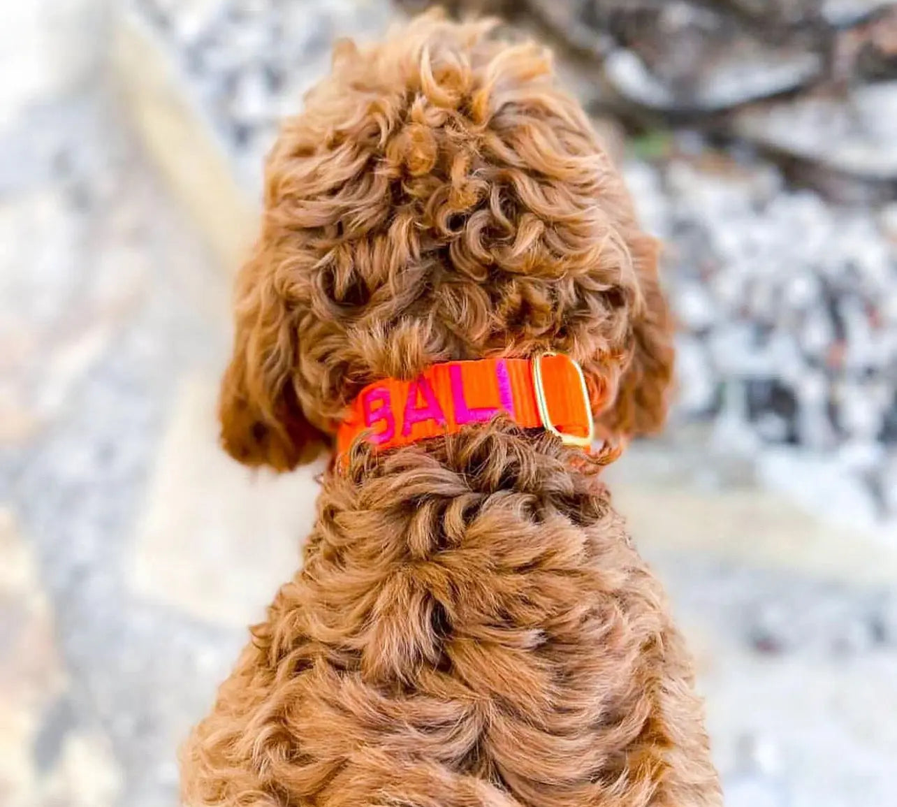 Halsband met naam Orange Charliejoness