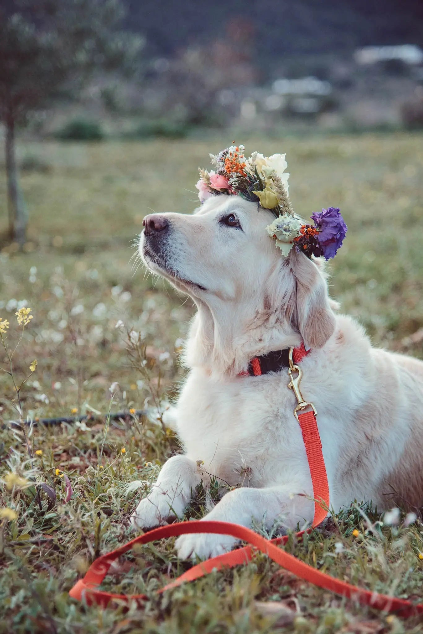 Halsband met naam Ruby Red Charliejoness