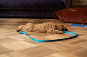 Halsband met naam Teal Charliejoness