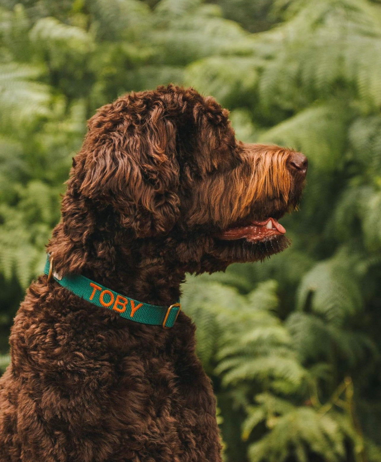 Collar with name Hunting Green