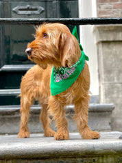 India Green Bandana met naam Charliejoness