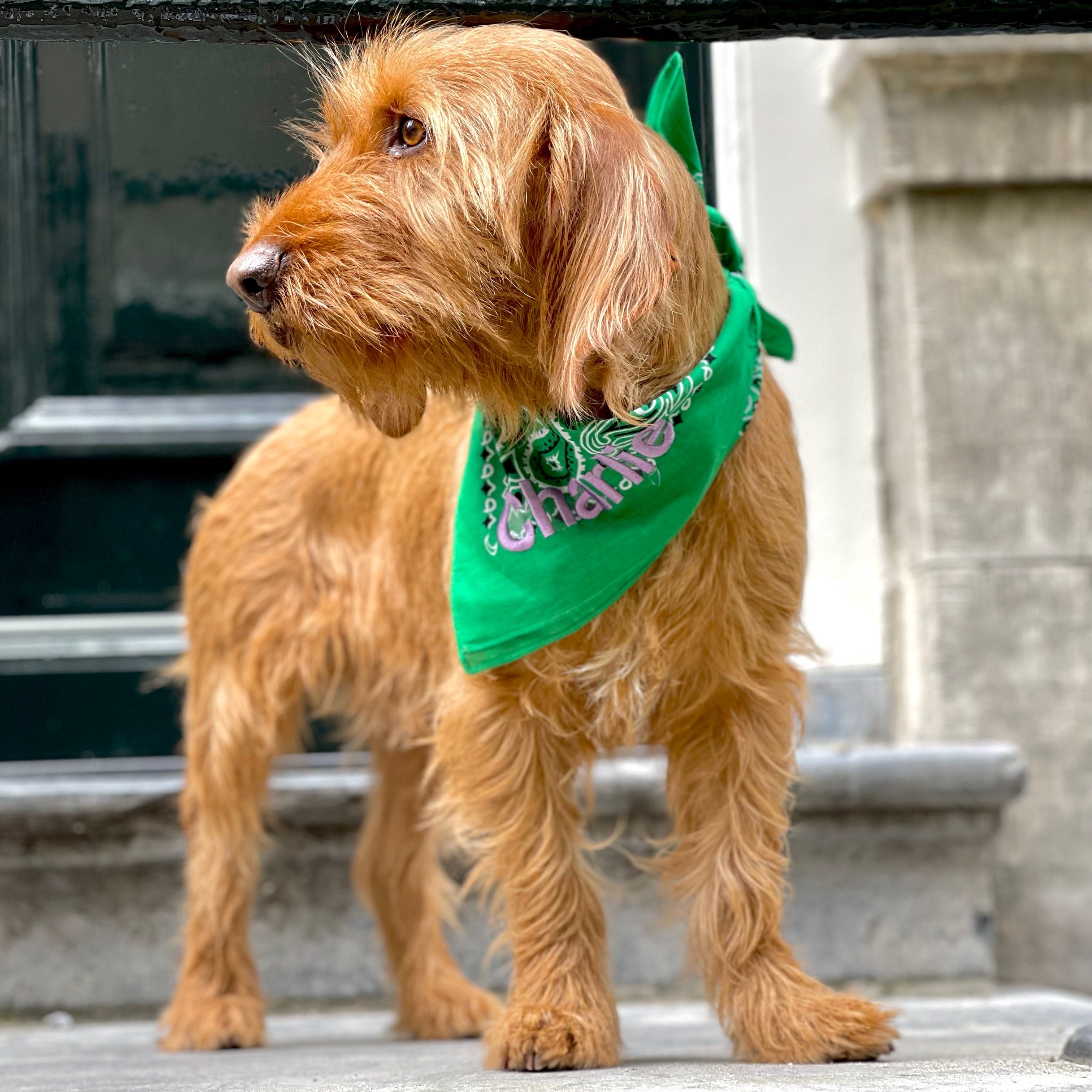 India Green Bandana met naam Charliejoness