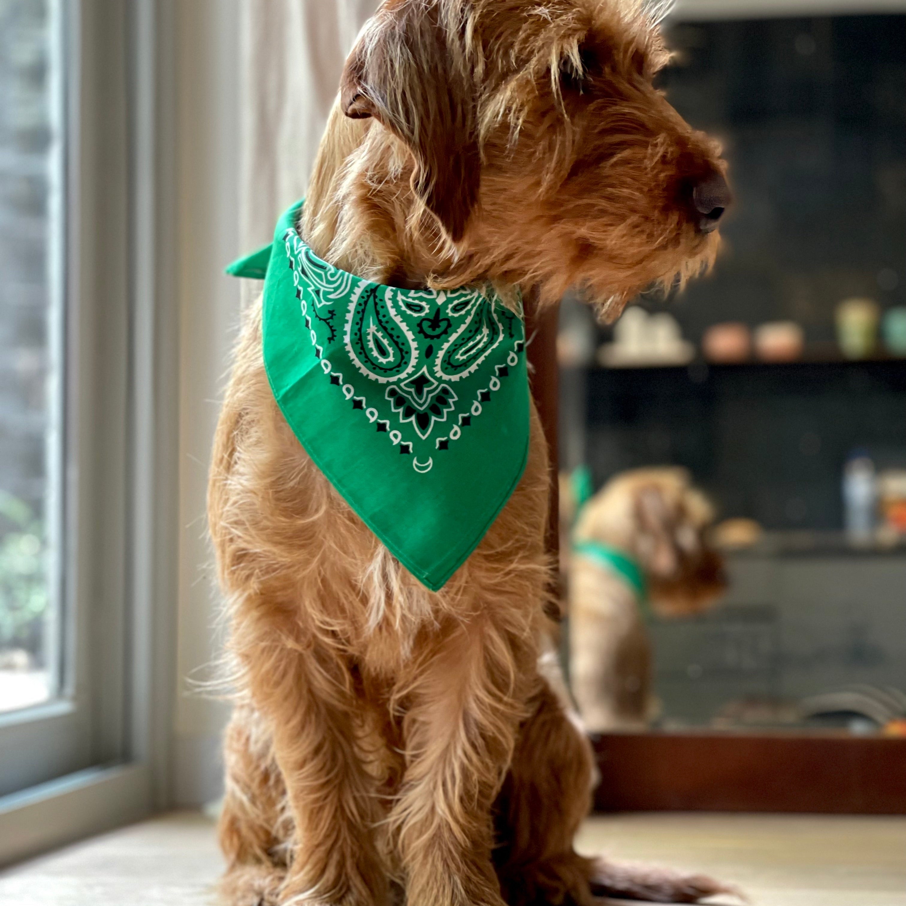 India Green Bandana met naam Charliejoness