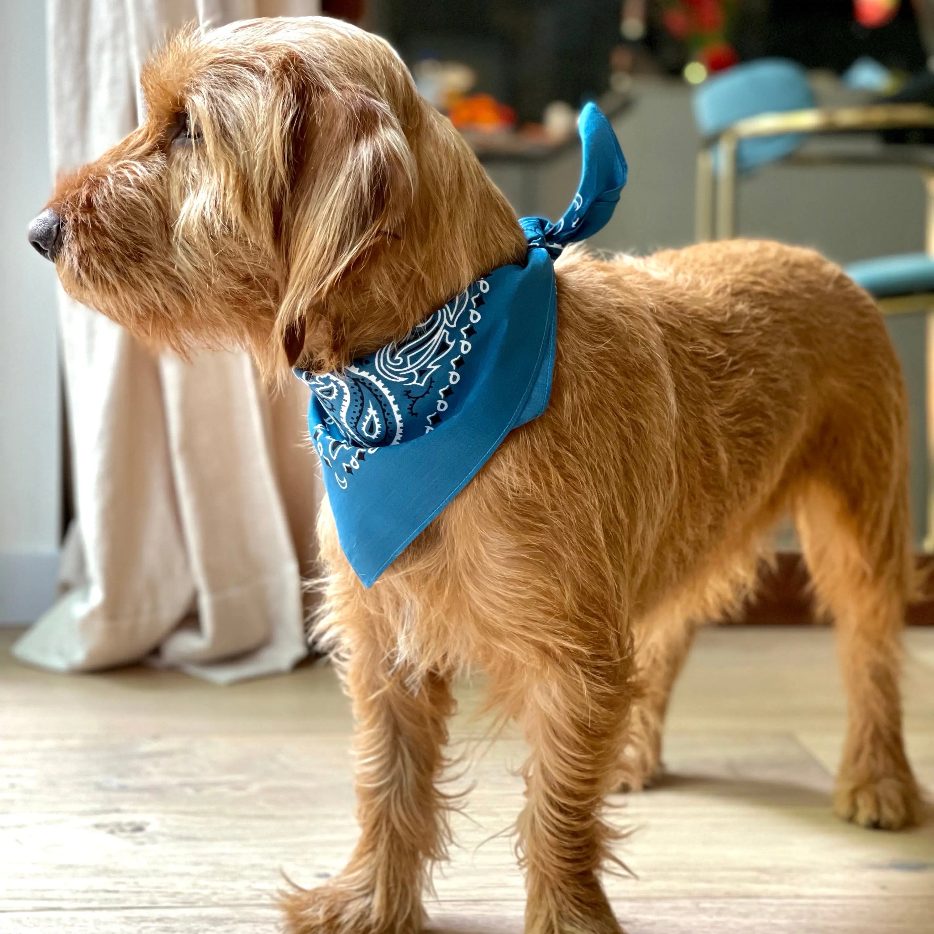 Indigo Bandana met naam Charliejoness