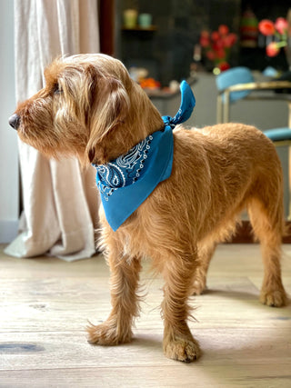 Indigo Bandana with name