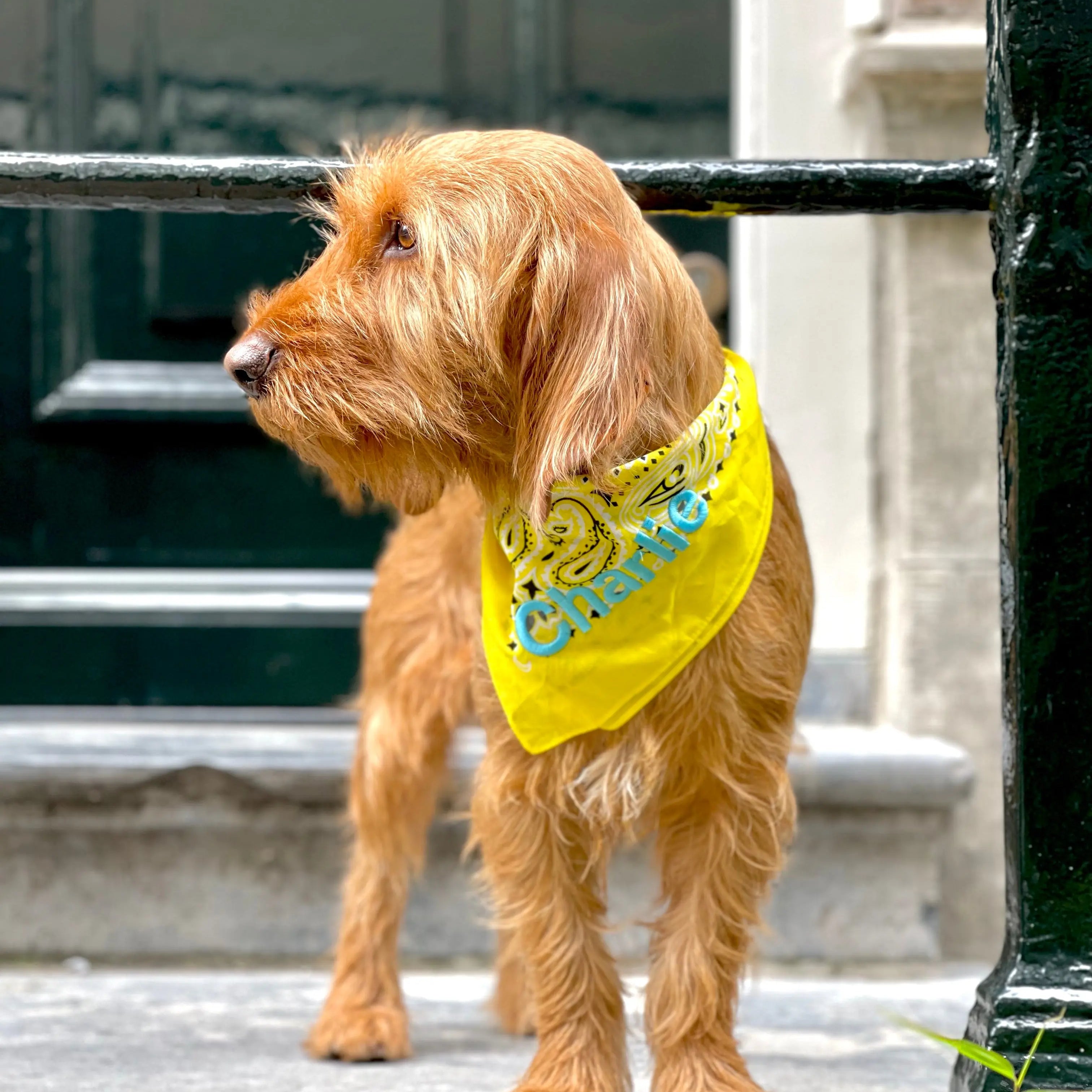 Lemon Bandana met naam Charliejoness