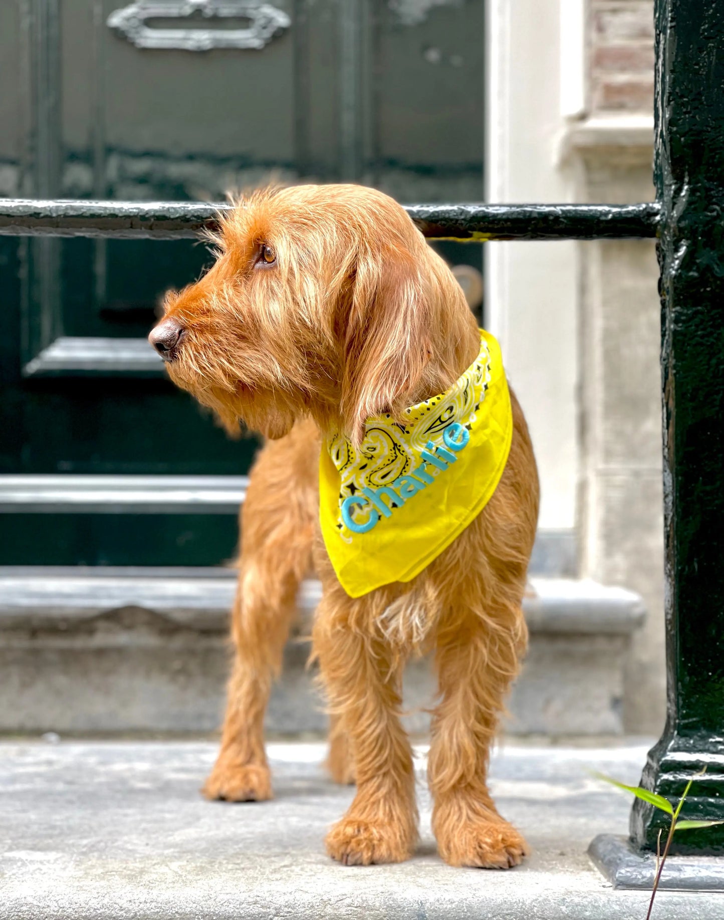 Lemon Bandana met naam Charliejoness