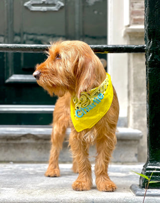 Lemon Bandana with name