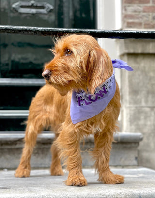 Lila Bandana mit Namen