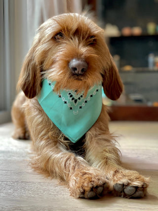 Pistachio Bandana with name