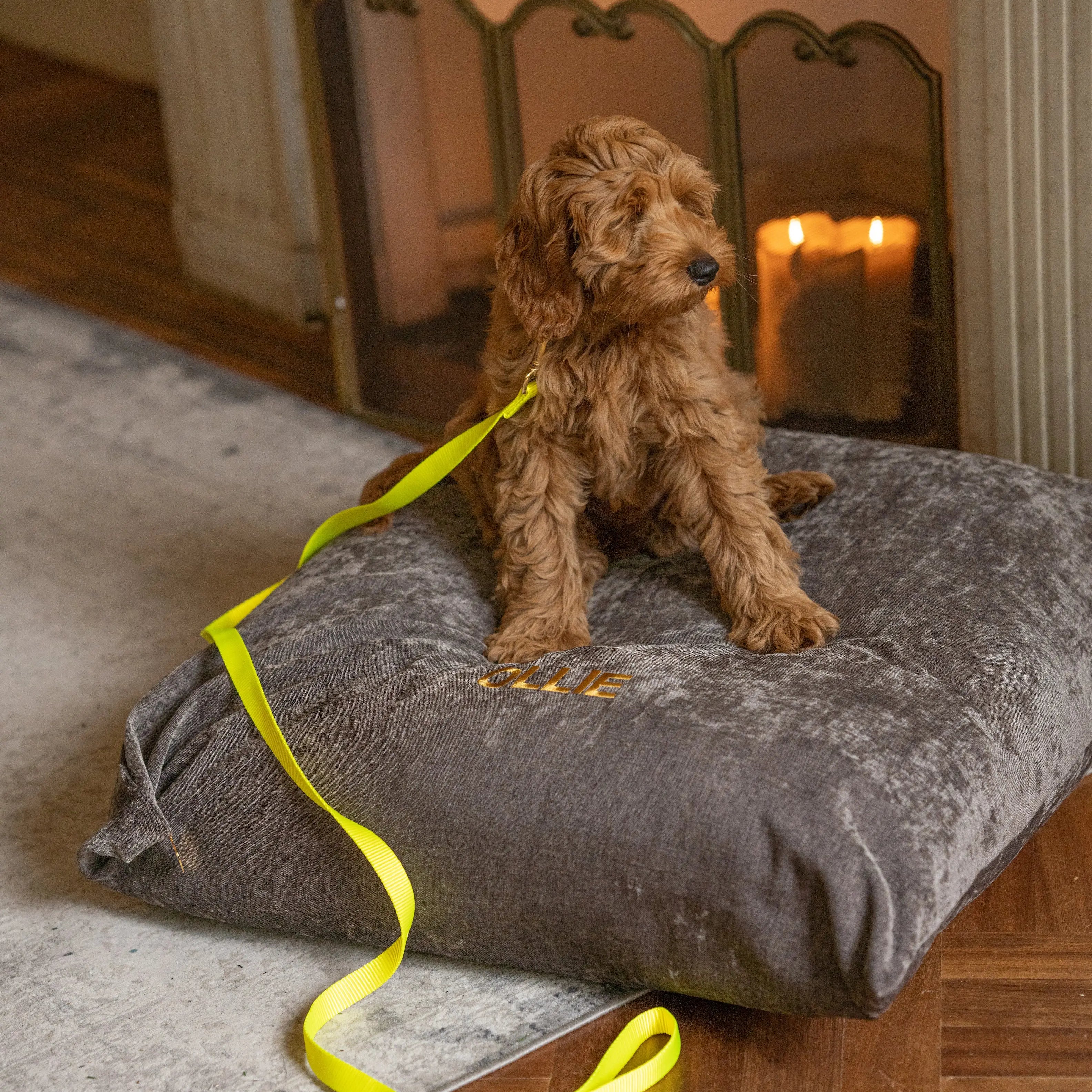Puppy halsband met naam Citrus Charliejoness