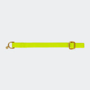 Puppy halsband met naam Citrus Charliejoness
