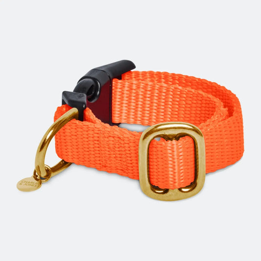 Puppy halsband met naam Orange Charliejoness