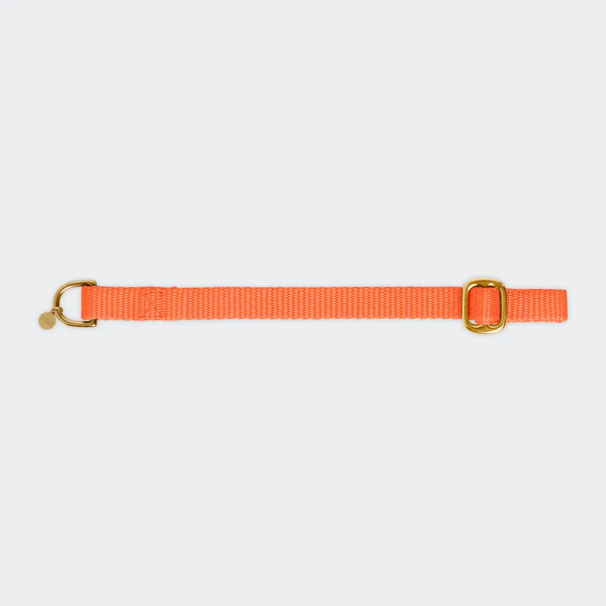 Puppy collar with name Orange