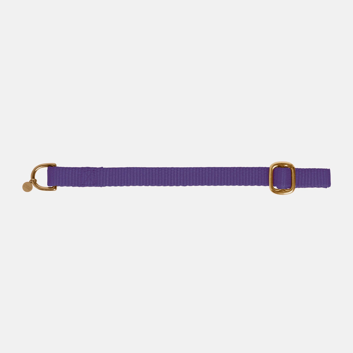 Puppy collar with name Purple