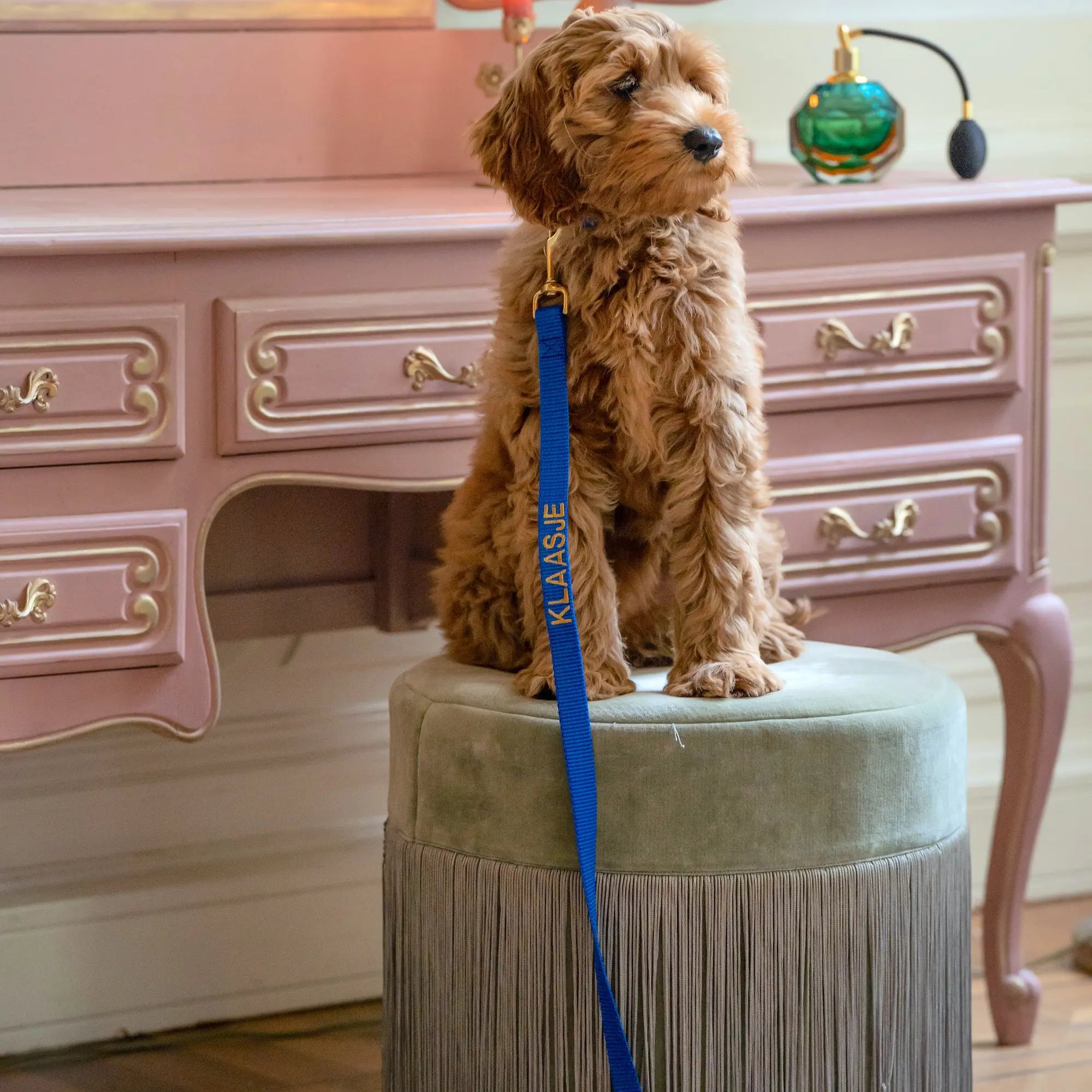 Puppy halsband met naam Royal Blue Charliejoness