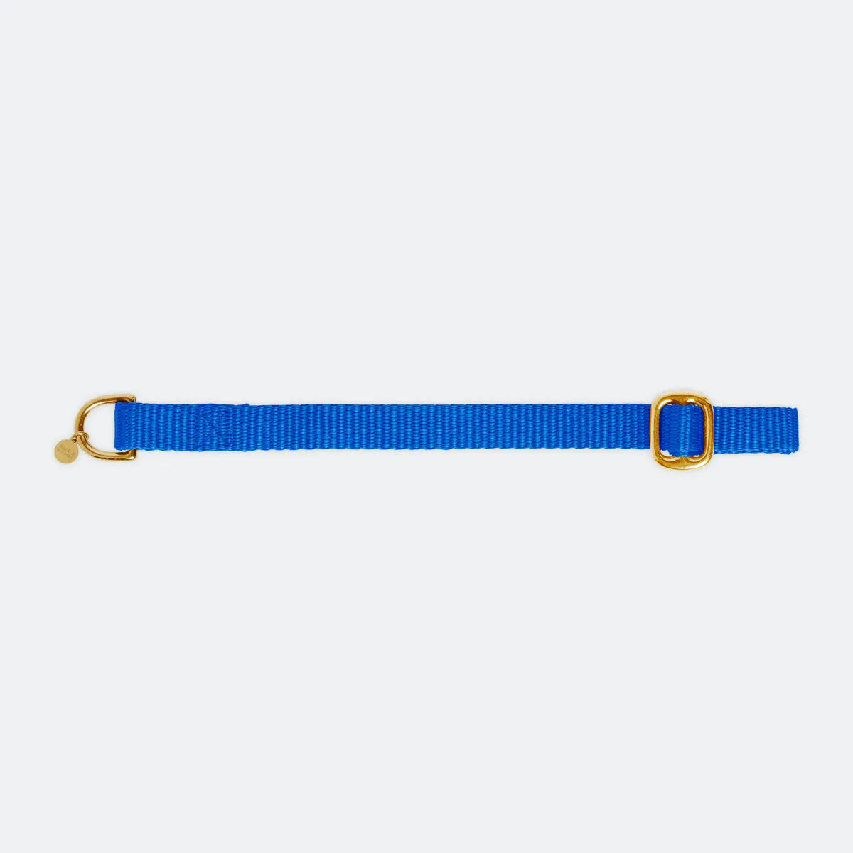 Puppy halsband met naam Royal Blue Charliejoness