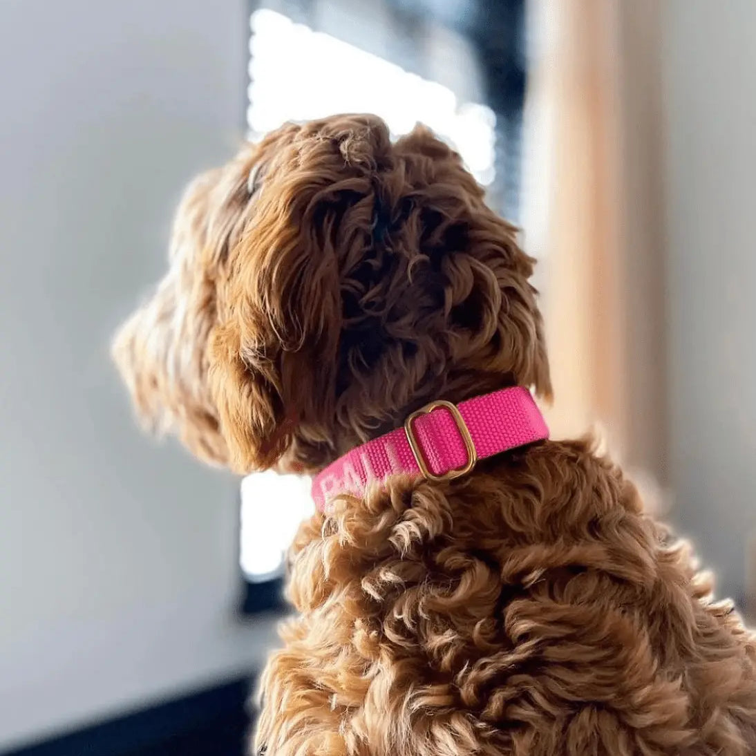 Puppy halsband met naam Soft Pink Charliejoness
