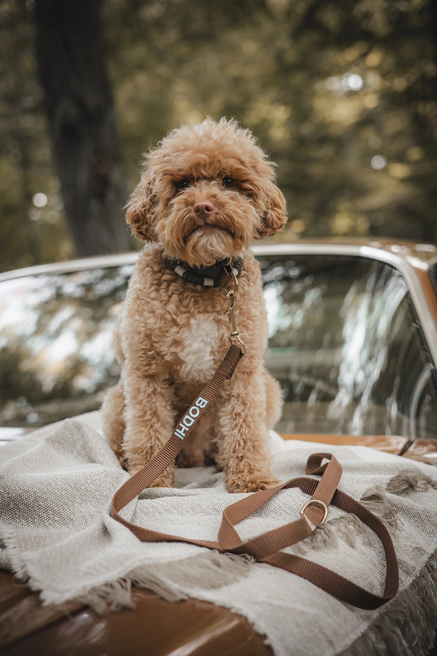 Puppy halsband met naam brown Charliejoness