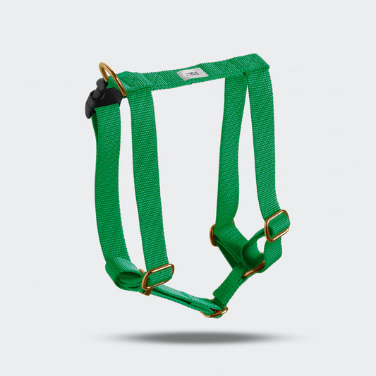 Harness named Spring Green