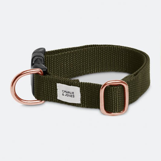 Limited Edition dog collar Olive Rosé