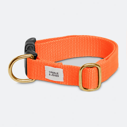 Halsband mit Namen Orange