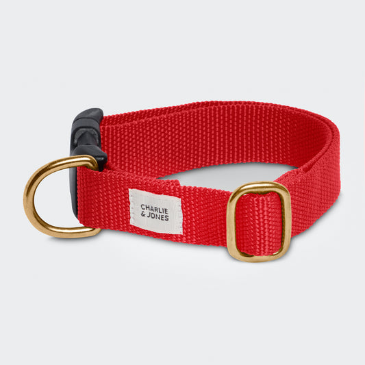 Halsband mit Namen Ruby Red