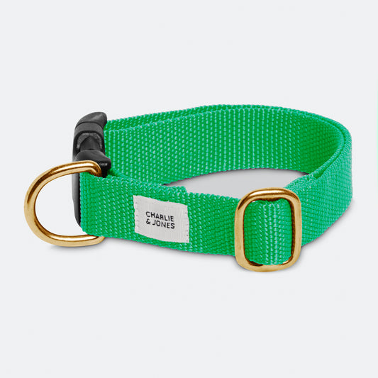 Collar with name Spring Green