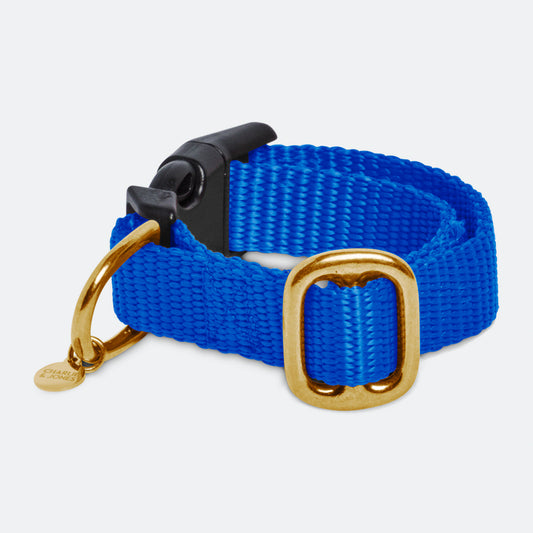 Puppy collar with name Royal Blue