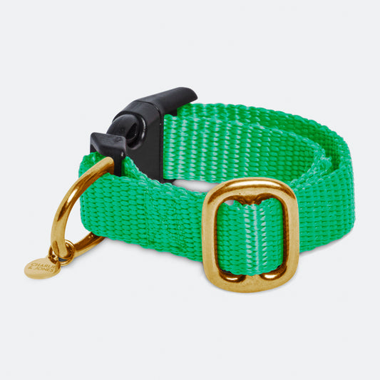 Cat collar with name - Spring Green