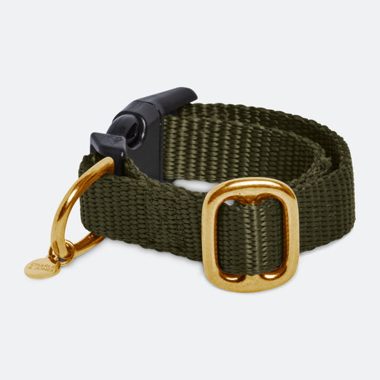 Cat collar with name Olive