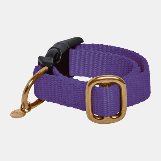 Cat collar with name Purple