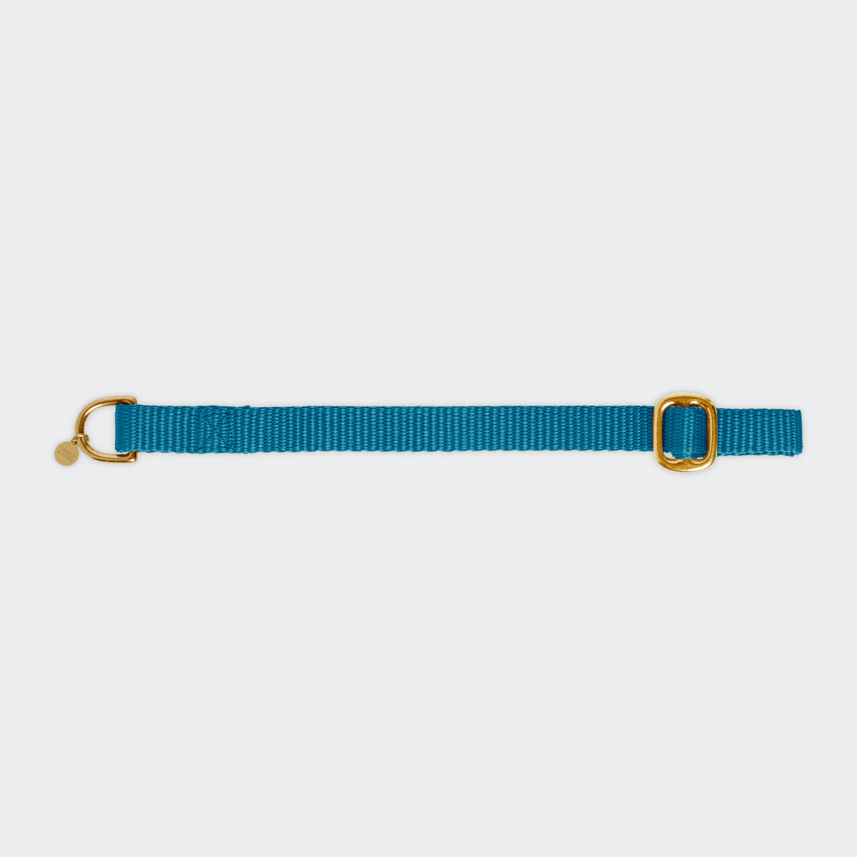 Puppy collar with name Teal