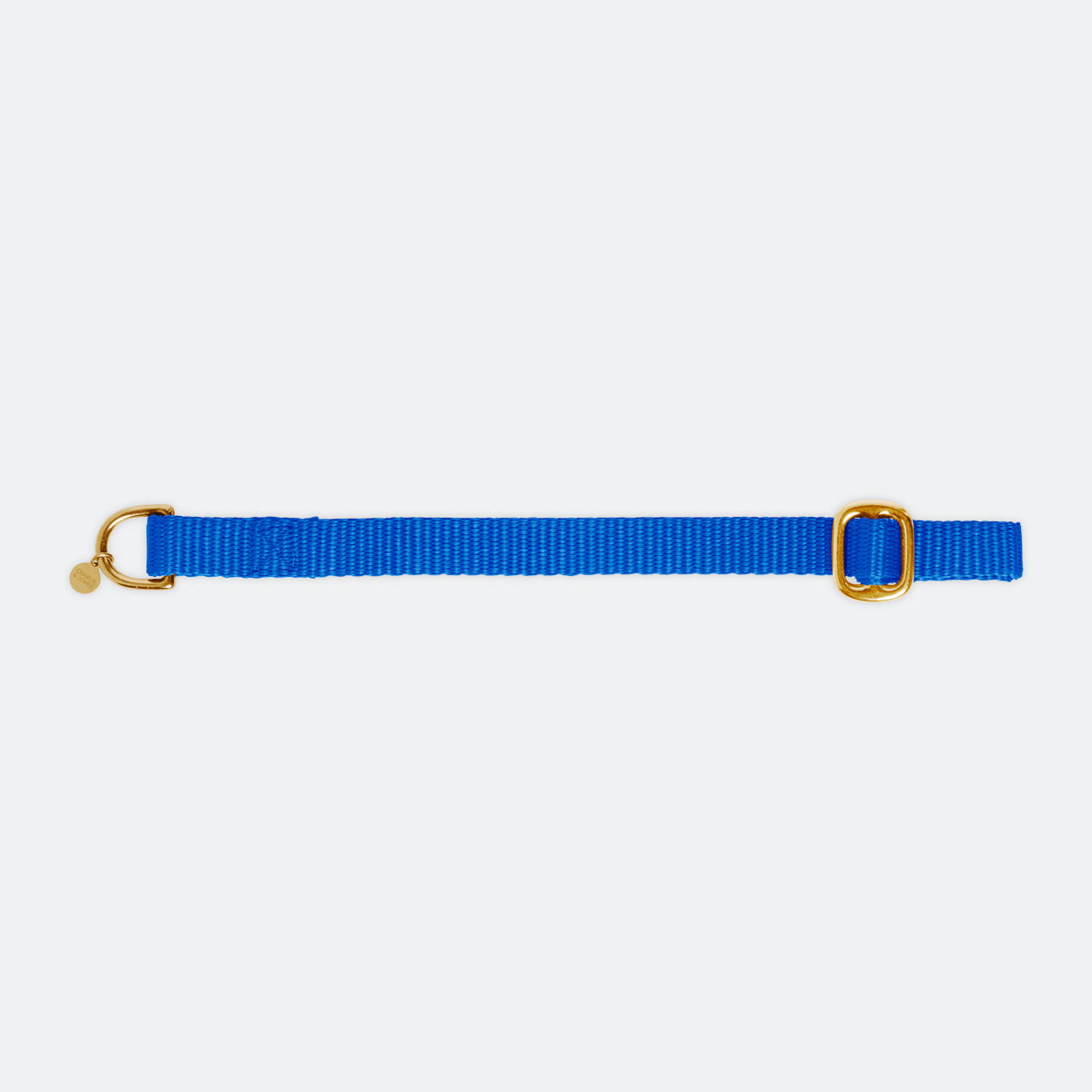 Royal blue dog sales collar