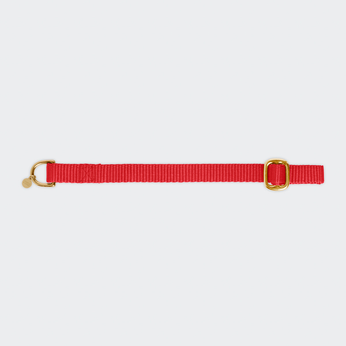 Puppy halsband met naam Ruby Red